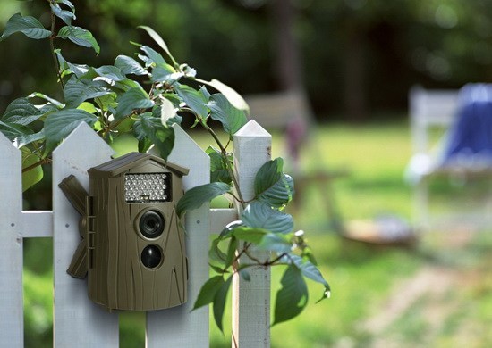 Garder un œil sur son jardin quand on s&rsquo;absente grâce à une caméra